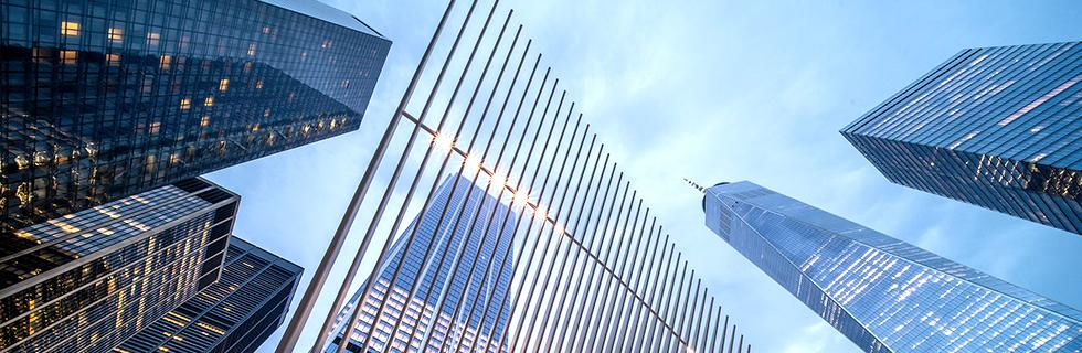 1666143484326365.jpg LA.jpg